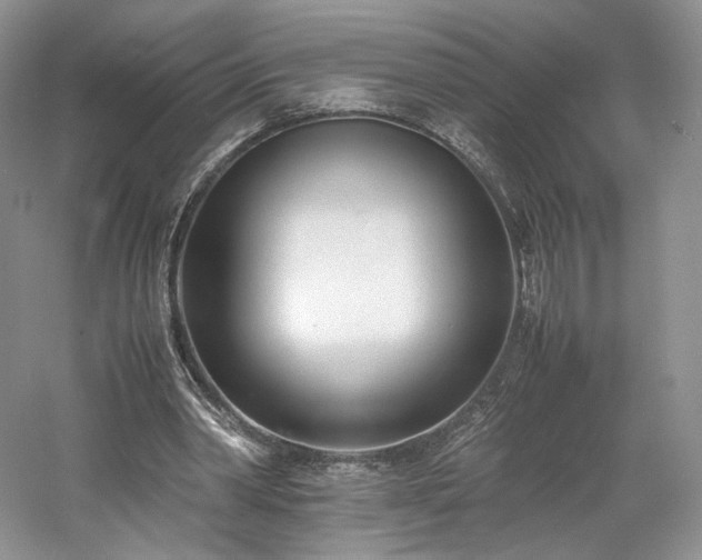 X0000061720390200512021345