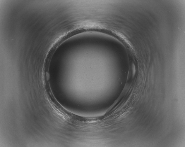 X0000061720391200512021345