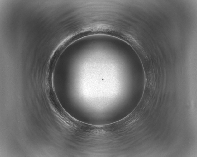 X0000061720392200512021345