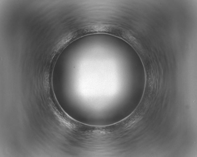 X0000061720394200512021345