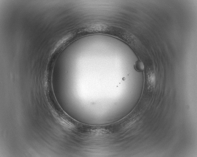 X0000061720396200512021345