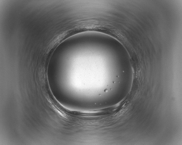 X0000061720397200512021345
