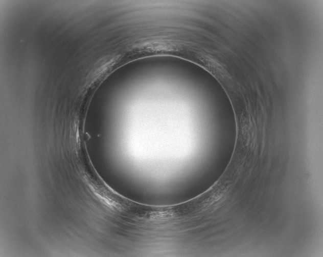 X0000061720398200512021345