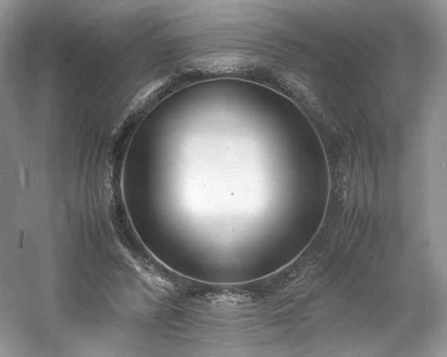 X0000061720400200512021345
