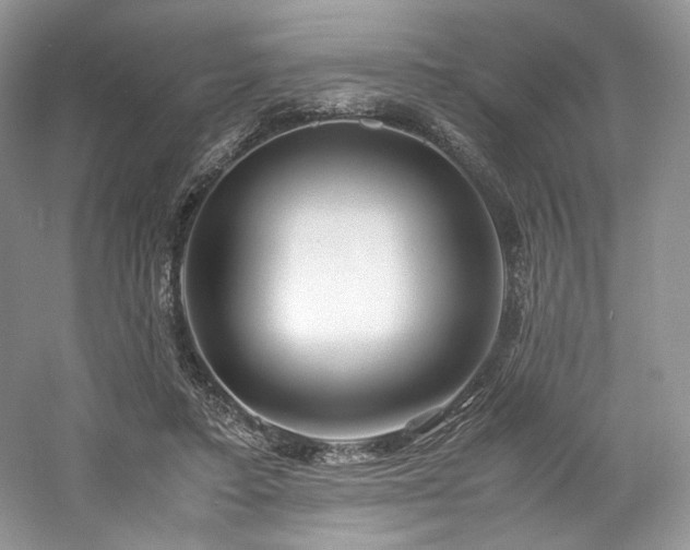 X0000061720403200512021345
