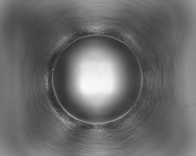 X0000061720404200512021344
