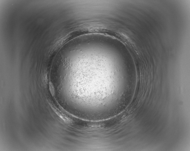 X0000061720405200512021344