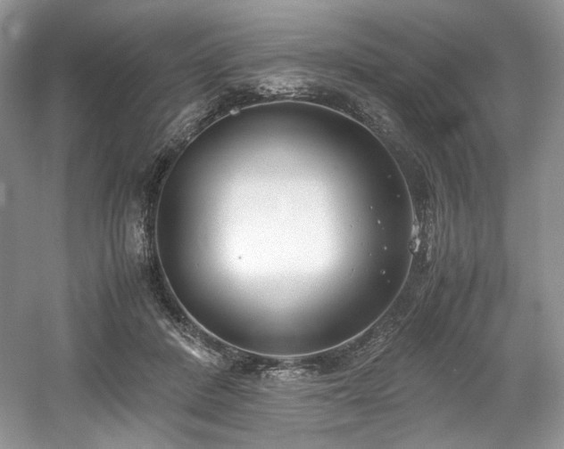 X0000061720408200512021344