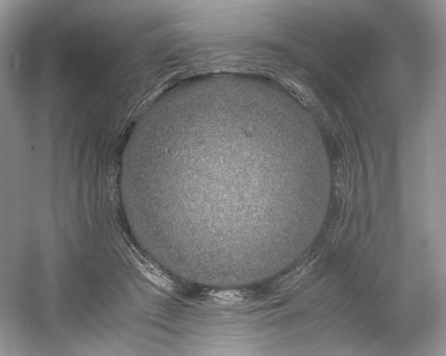X0000061720409200512021344