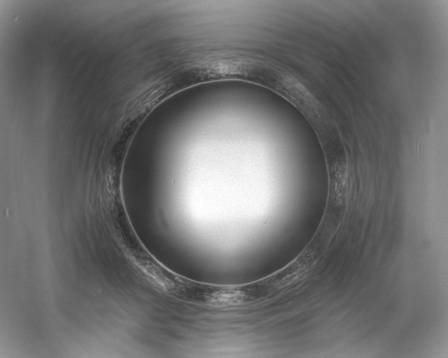 X0000061720410200512021344