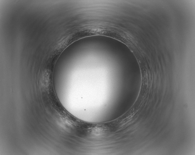 X0000061720412200512021344