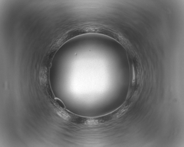 X0000061720413200512021344