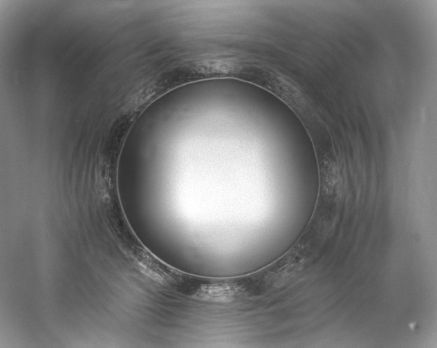 X0000061720414200512021344