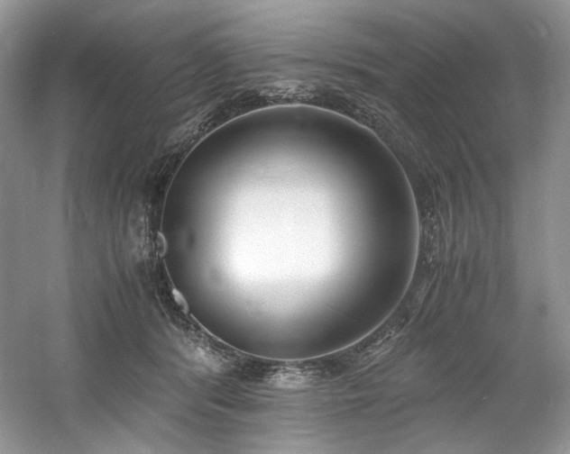 X0000061720416200512021344