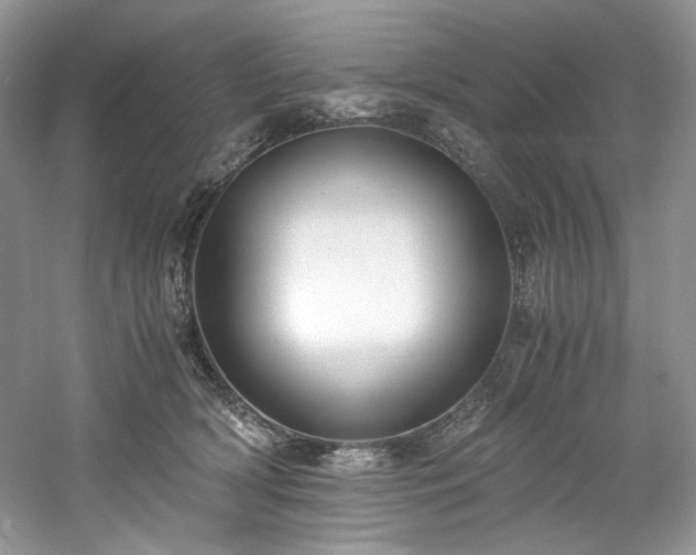 X0000061720418200512021344