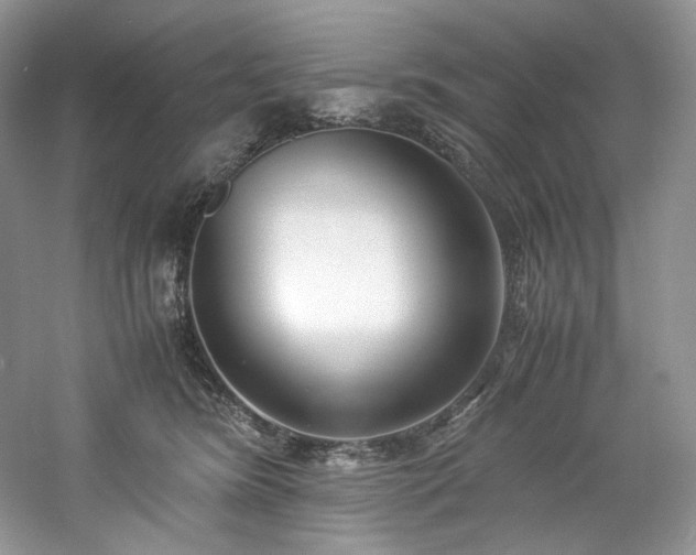 X0000061720420200512021344