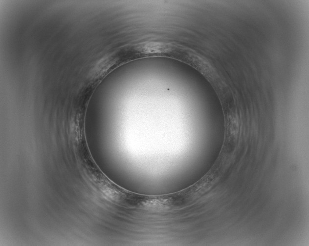 X0000061720422200512021344