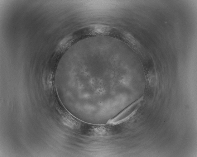 X0000061720423200512021344