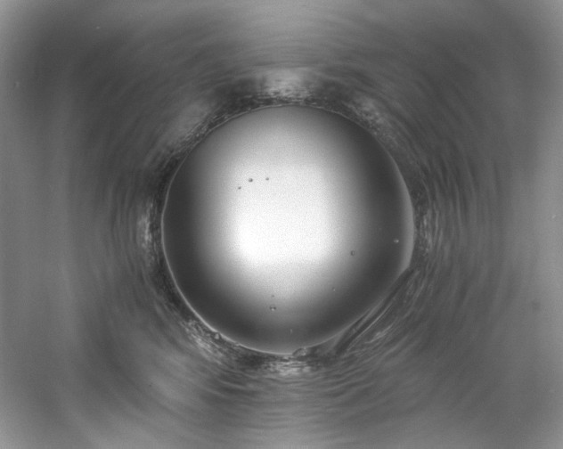 X0000061720424200512021344