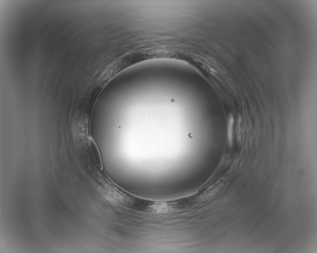 X0000061720425200512021344
