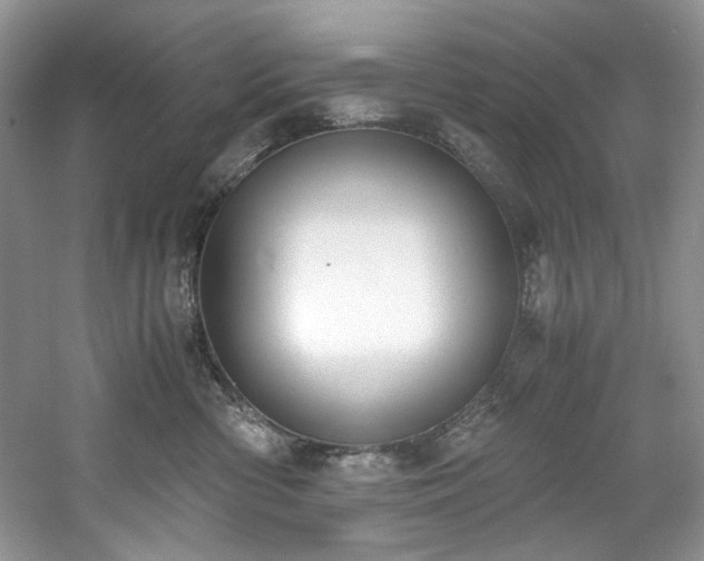 X0000061720426200512021344