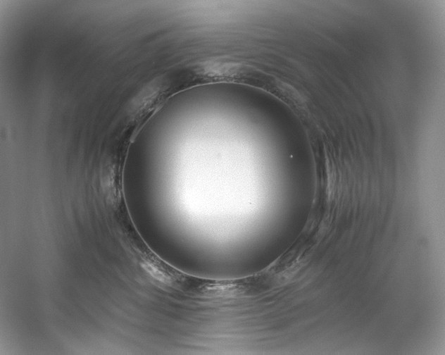 X0000061720428200512021344