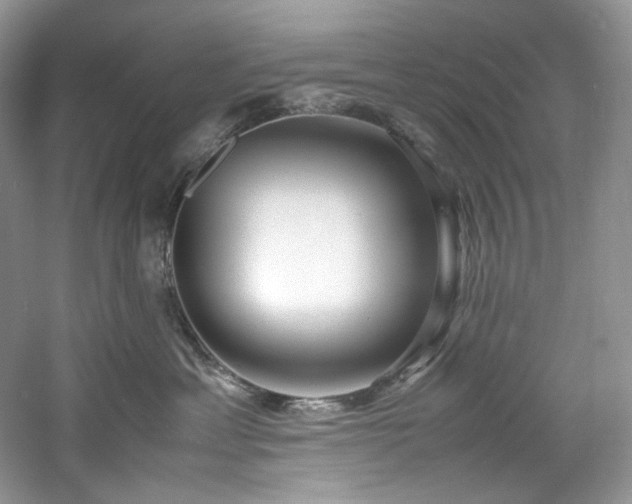 X0000061720429200512021344