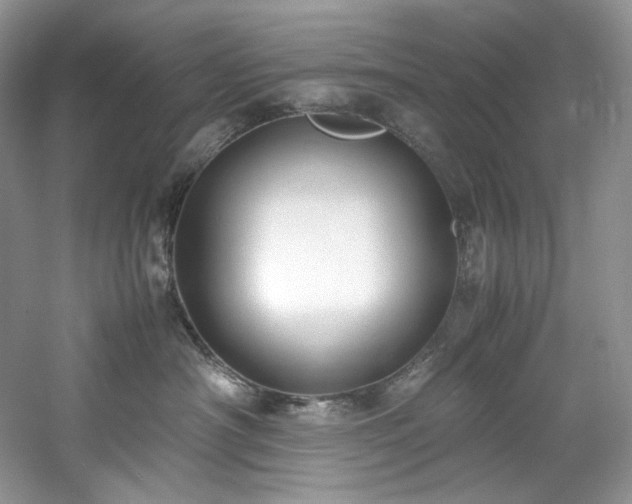 X0000061720430200512021344