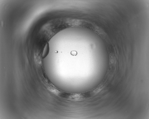 X0000061720431200512021344
