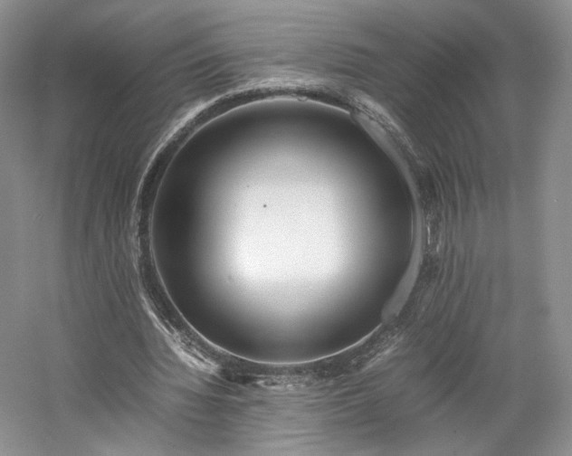 X0000061720436200512021343