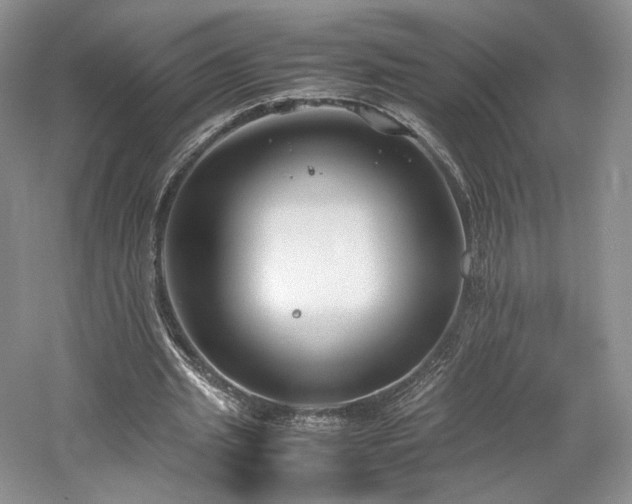 X0000061720437200512021343