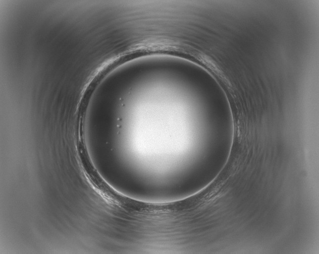 X0000061720438200512021343