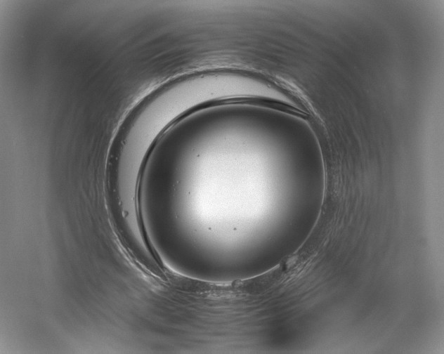 X0000061720439200512021343