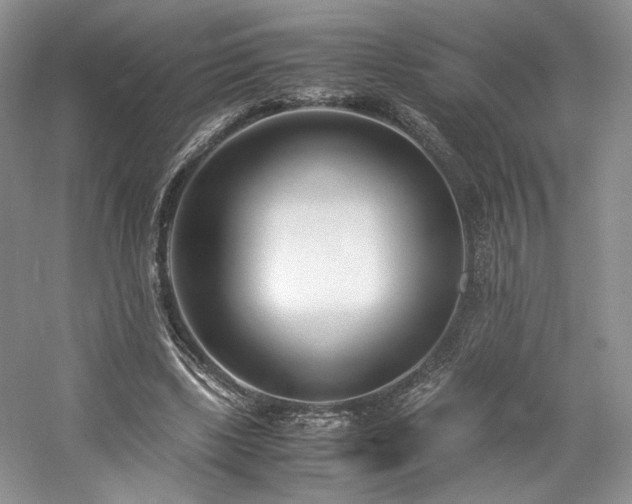X0000061720443200512021343