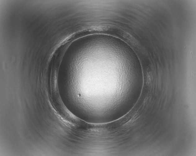 X0000061720444200512021343