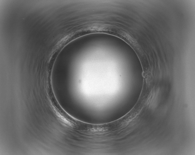 X0000061720445200512021343