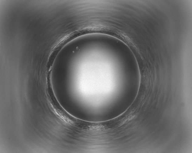 X0000061720446200512021343