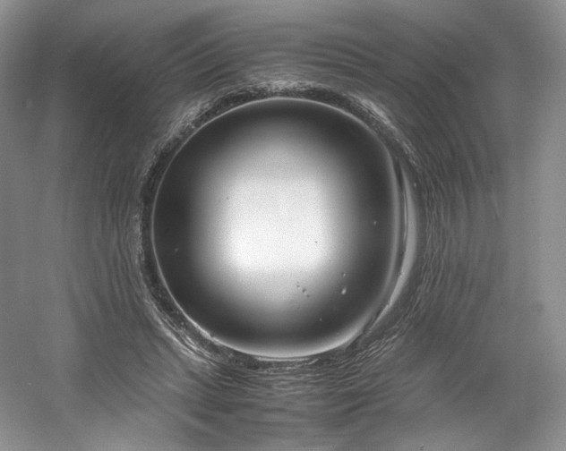 X0000061720447200512021343