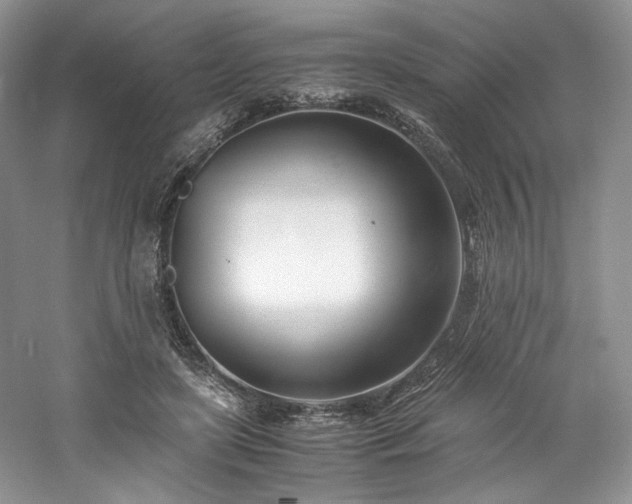 X0000061720451200512021343