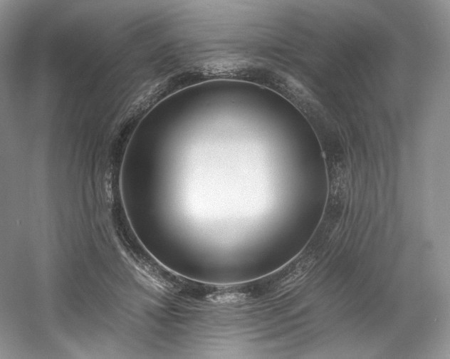 X0000061720452200512021343