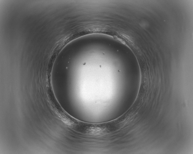 X0000061720453200512021344