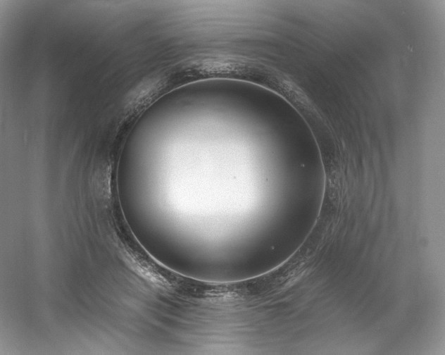 X0000061720454200512021344