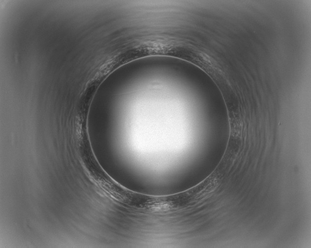 X0000061720456200512021344