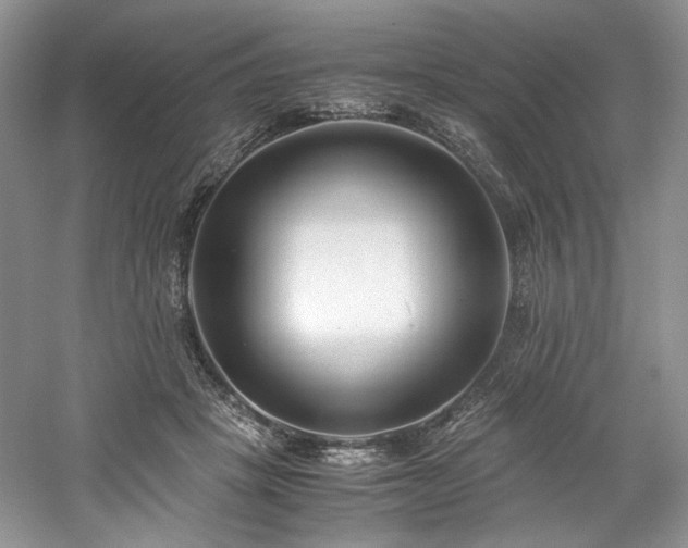 X0000061720457200512021344