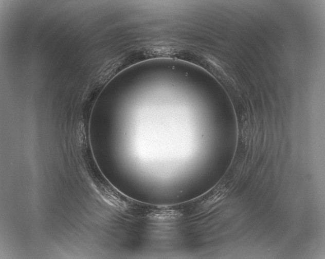 X0000061720459200512021344