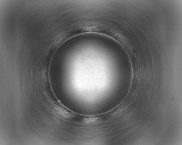 X0000061720461200512021344