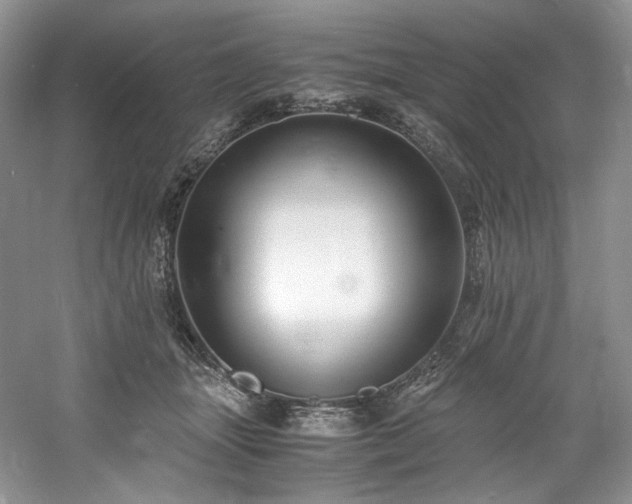 X0000061720463200512021344