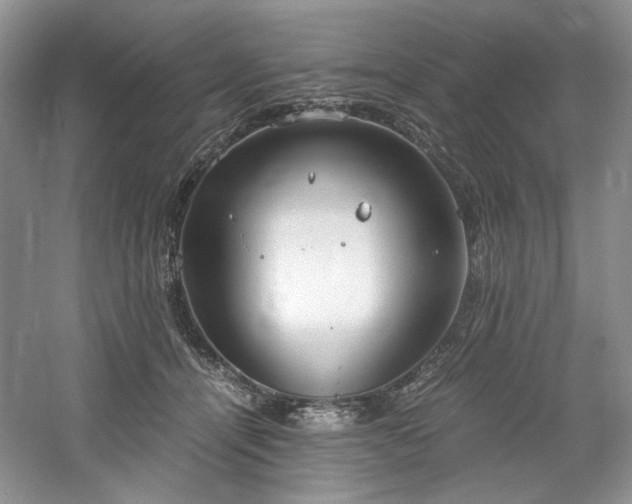 X0000061720464200512021344