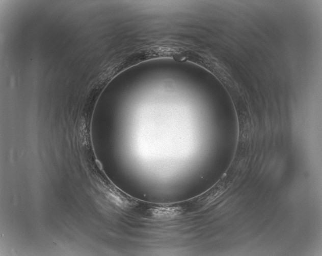 X0000061720465200512021344