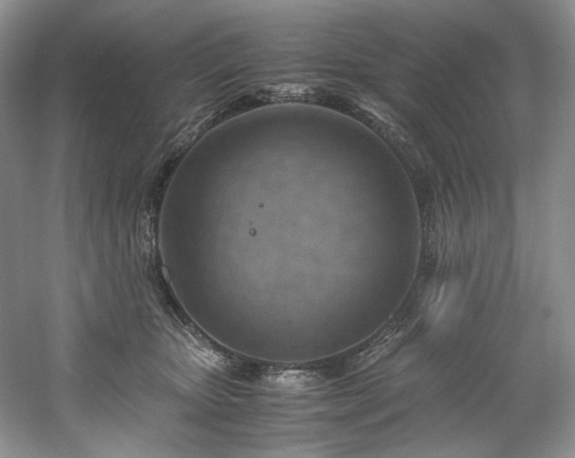 X0000061720467200512021344